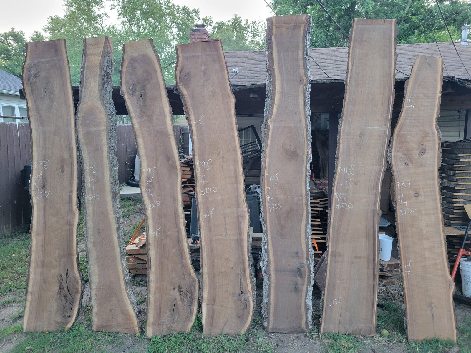 Black Walnut Slabs