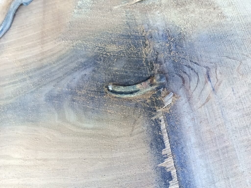Old metal found inside a log during sawing