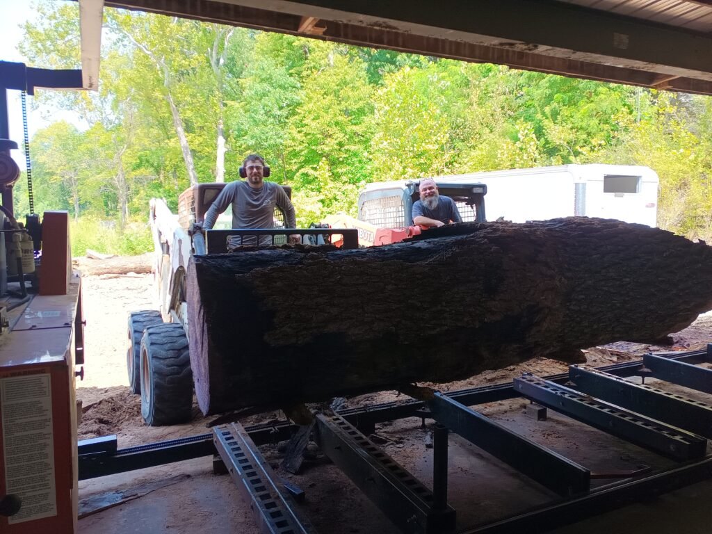 Loading a big log onto the sawmill under the shed