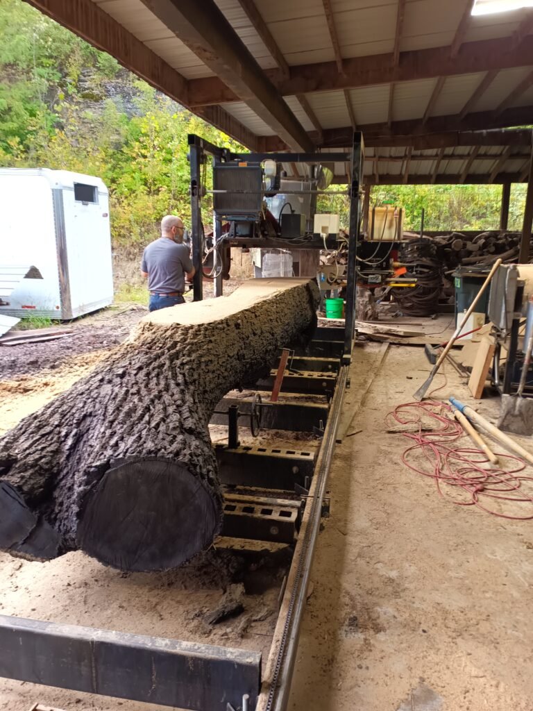 Milling a large log on the sawmill under the shed