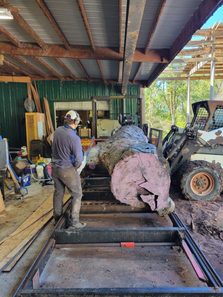 Trimming a large log on the sawmill under the shed