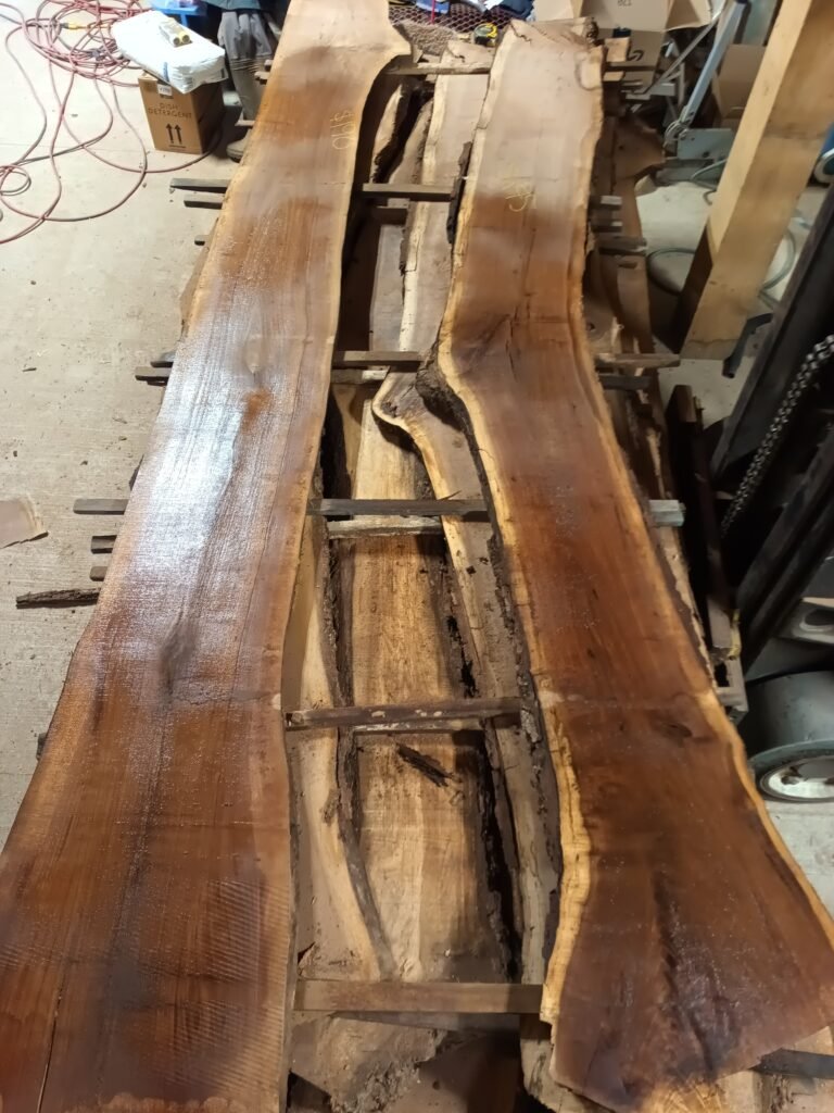 Freshly sawn walnut live-edge slabs