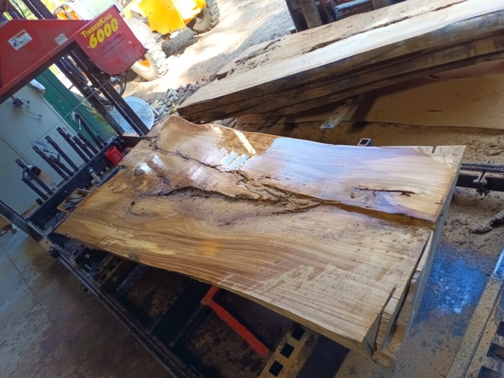Freshly sawn live-edge slab on the TimberKing sawmill