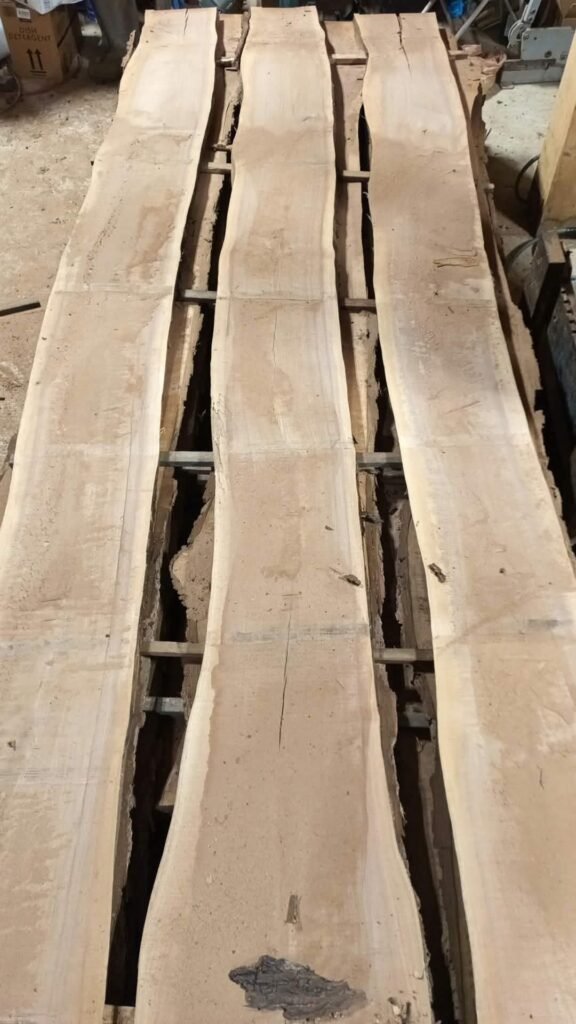 Three wide live-edge slabs fresh off the sawmill