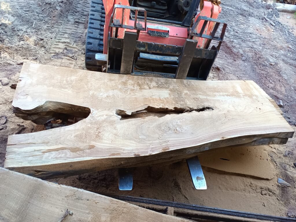 Wide live-edge slab on the forks